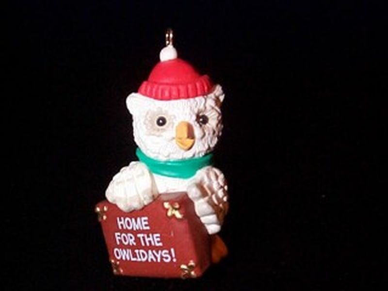 Home for the Owlidays