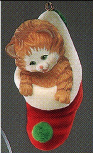 Stocking Kitten