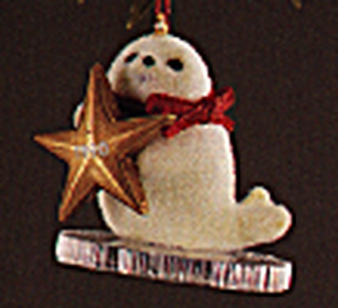 Little Seal