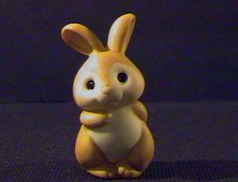 Boy Bunny