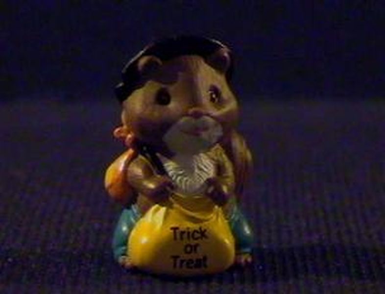 Squirrel Hobo
