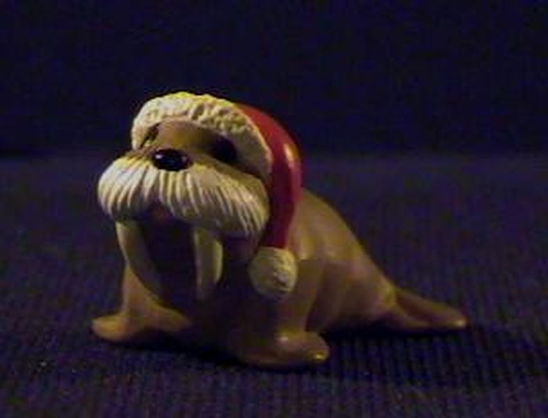 Walrus