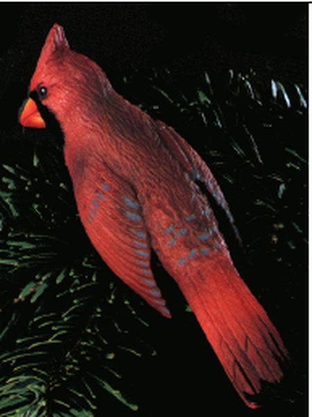 Red Cardinal