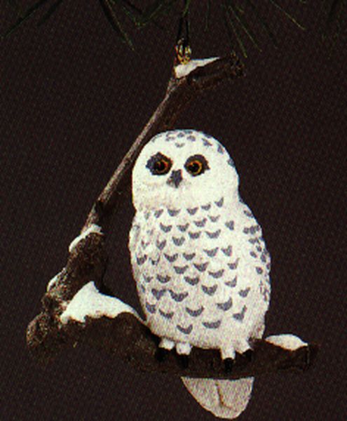 Snowy Owl