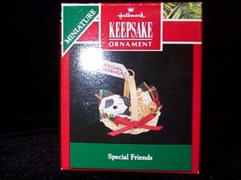 Special Friends