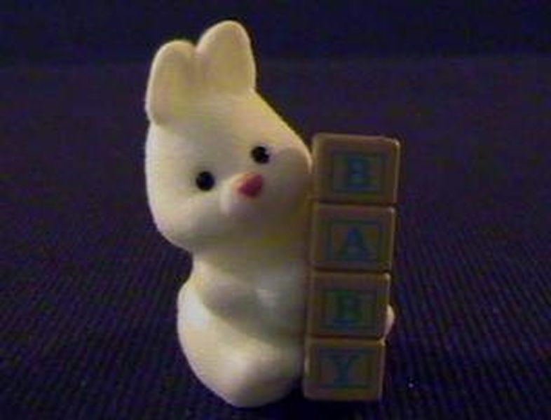 Baby Bunny