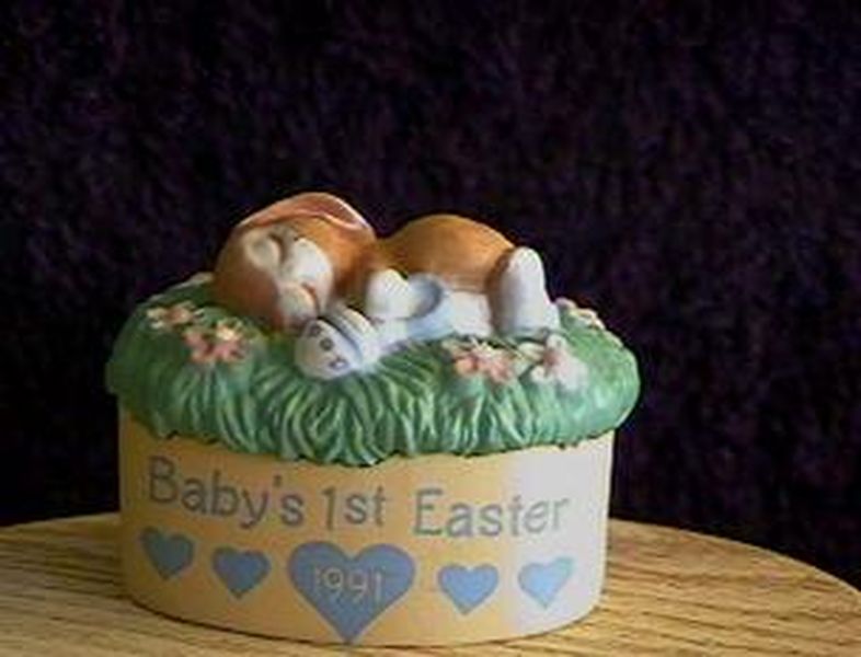 Baby's 1st-Bunny