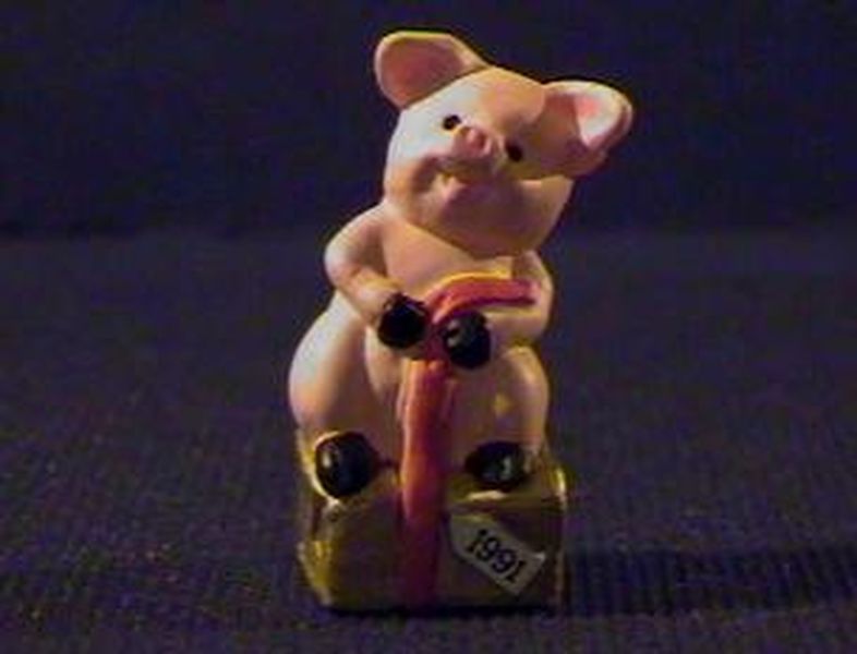 Pig