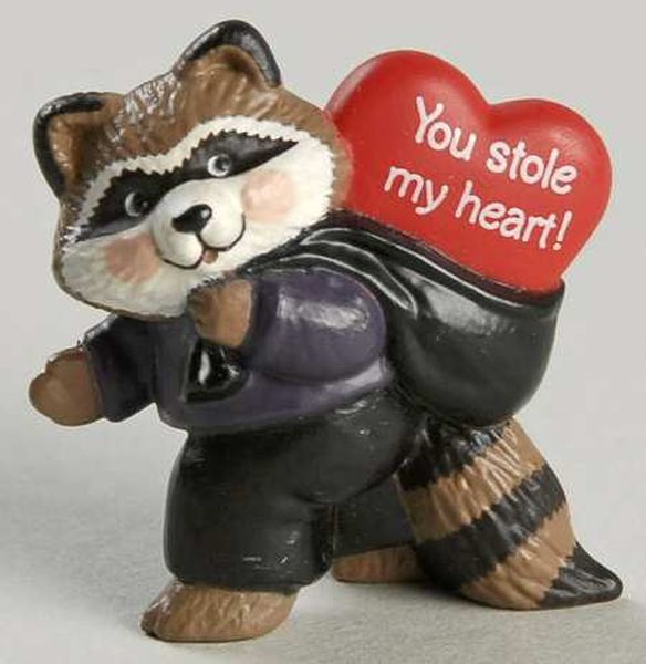 Raccoon Thief