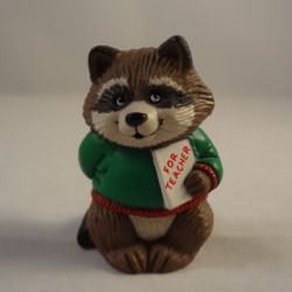 Teacher Raccoon