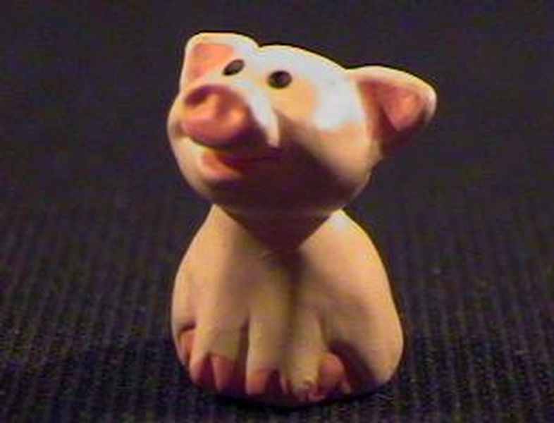 Pig