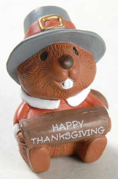 Pilgrim Beaver
