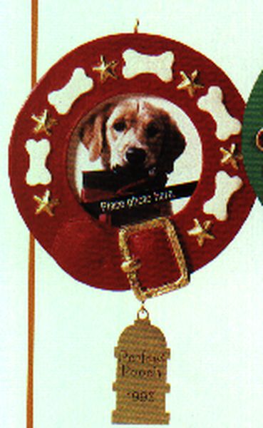 Special Dog - Photo Holder