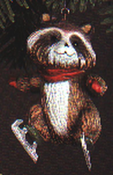 Skating Raccoon