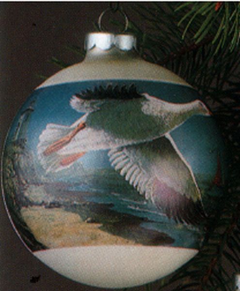 Snowgoose