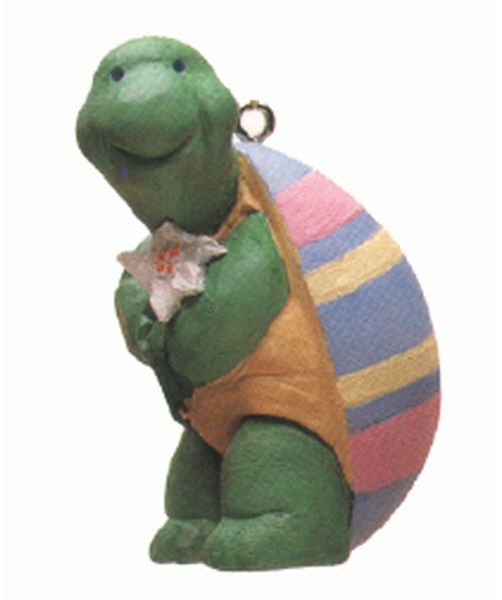 Best-Dressed Turtle