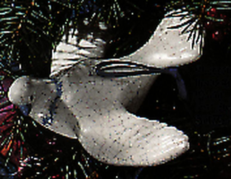 Peaceful Dove