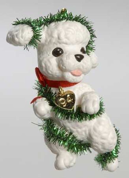 White Poodle