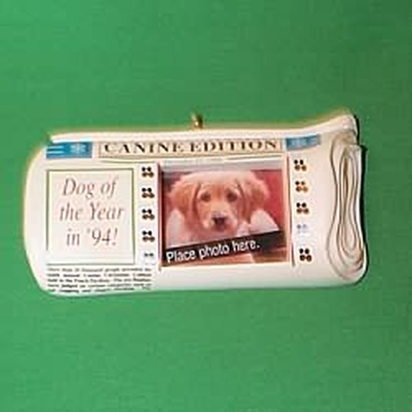 Special Dog