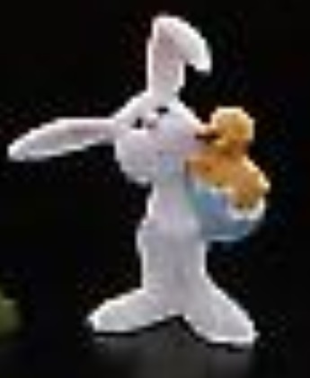 Bunny