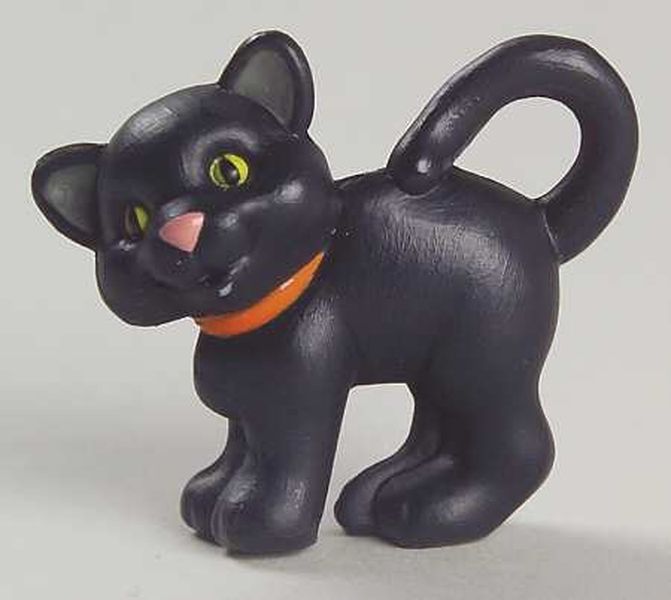 Cute Black Kitten