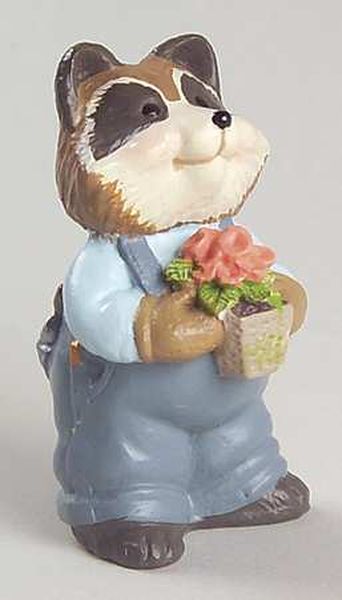 Raccoon
