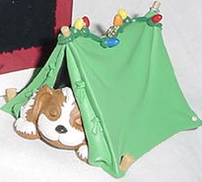 Pup-Tenting