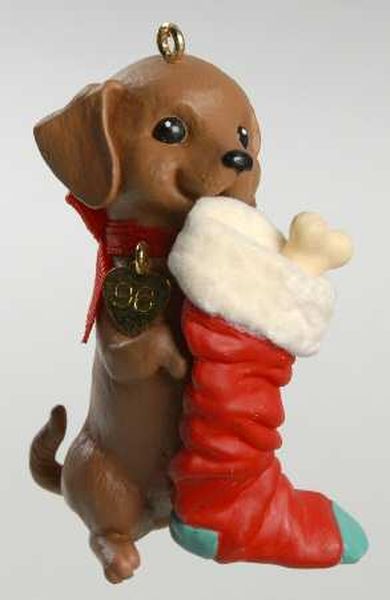 Brown Puppy