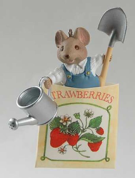 Strawberry Patch