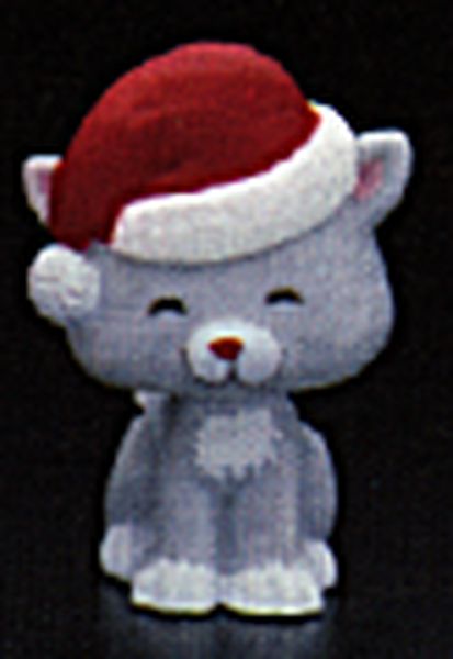 Kitten