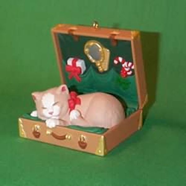 Cat in a Suitcase