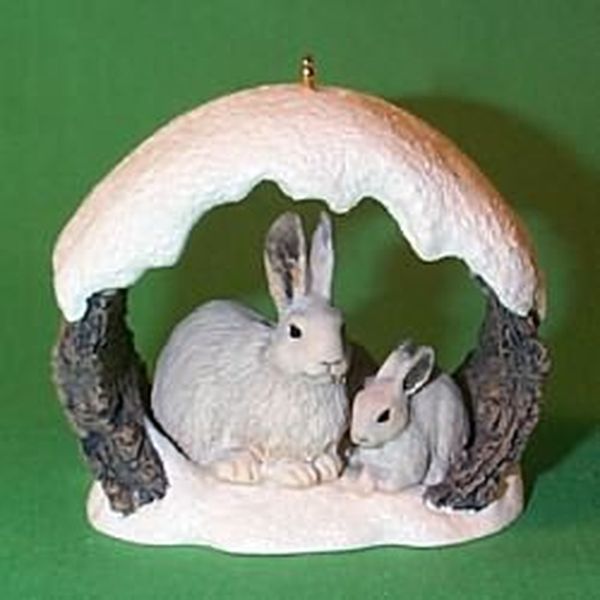 Snowshoe Rabbits in Winter
