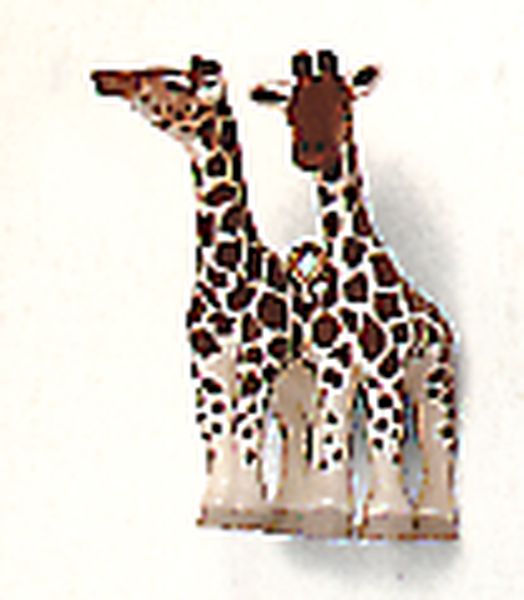 Gentle Giraffes