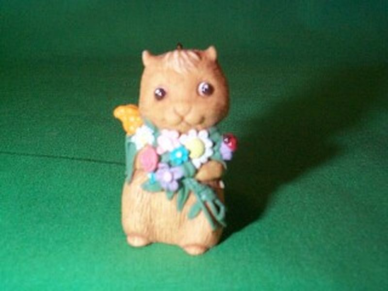 Squirrel