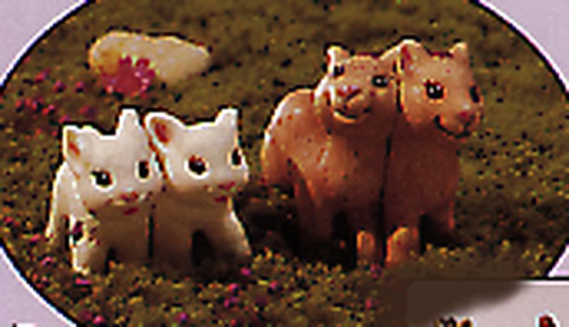 Noah's Friends