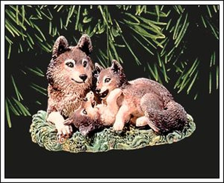 Timber Wolves at Play