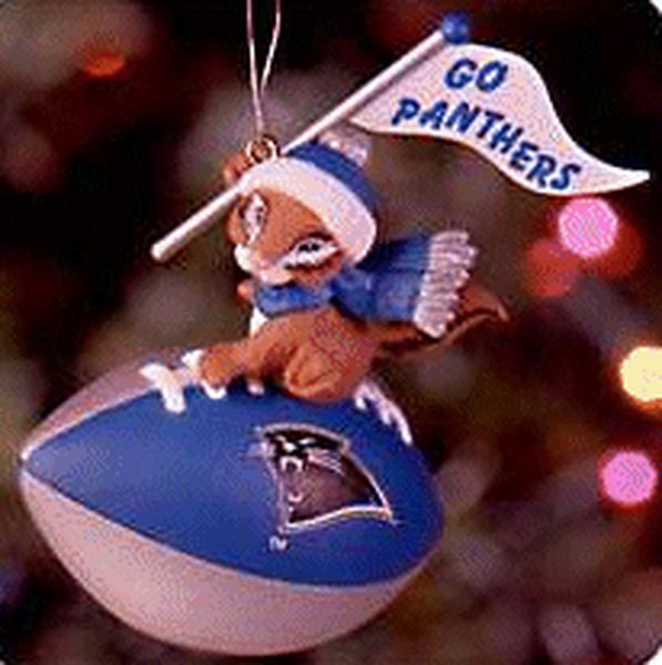 Carolina Panthers