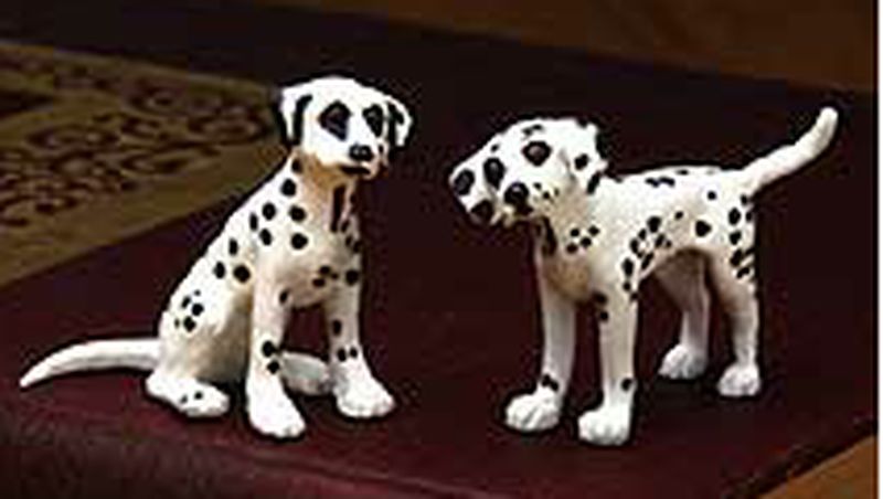 Cinder & Ella Dalmatians