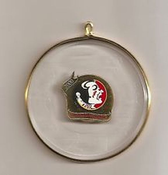 Florida State Seminoles
