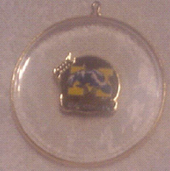 Michigan Wolverines