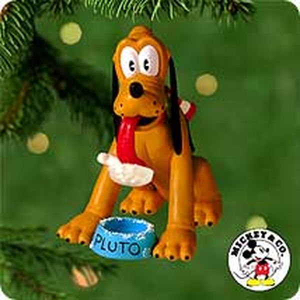 Dog Dish Delimma
