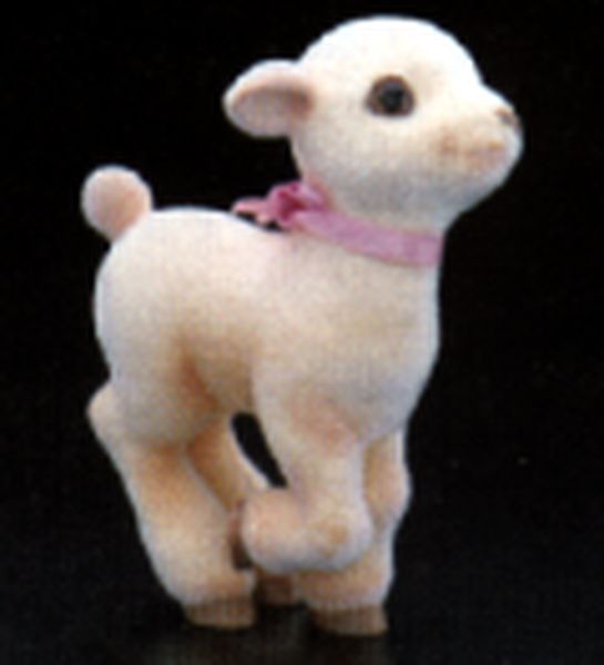 Lamb