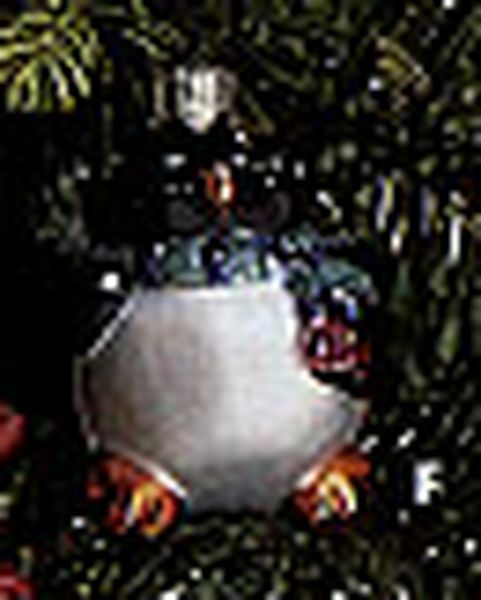 Li'l Roly-Poly Penguin
