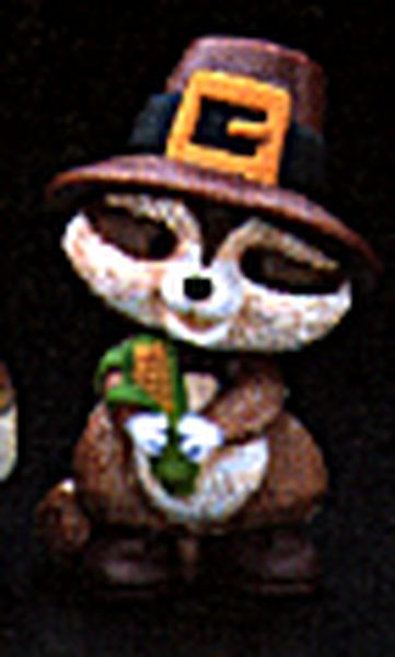 Raccoon Pilgrim