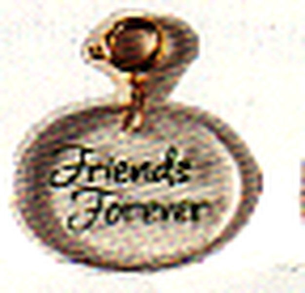 Ornament Charm - Friends Forever
