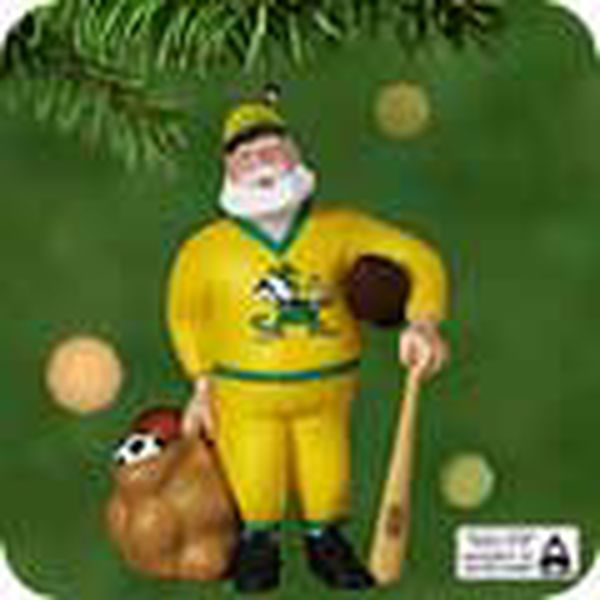 Notre Dame Fighting Irish