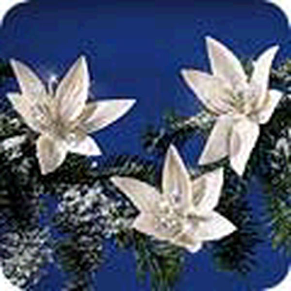 Frostlight Flowers