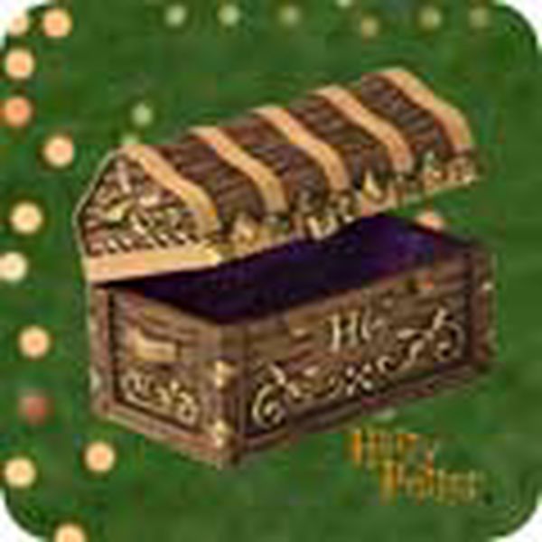 Hermione Granger's Trunk