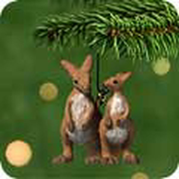 Bouncy Kangaroos