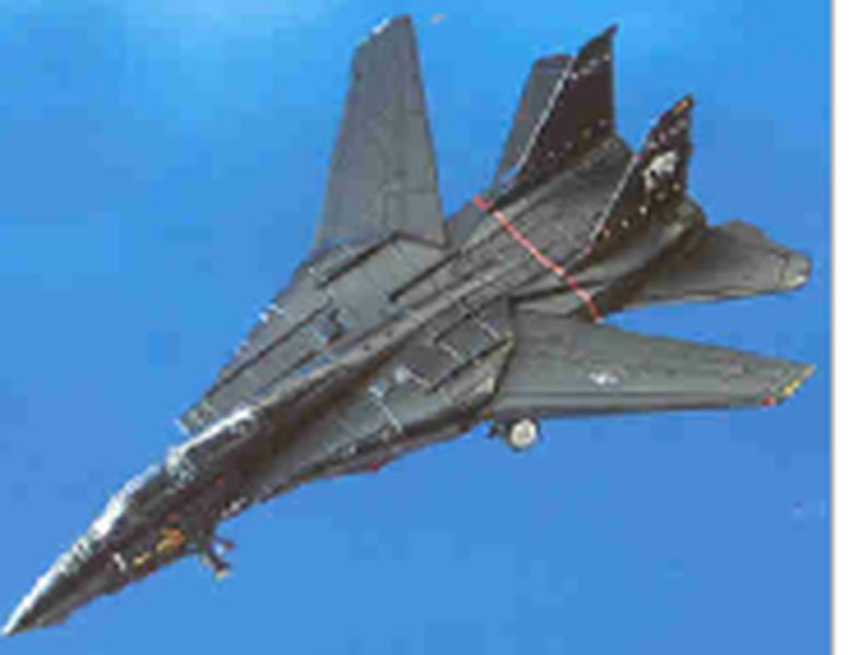 VX-9 F-14 Blackcat